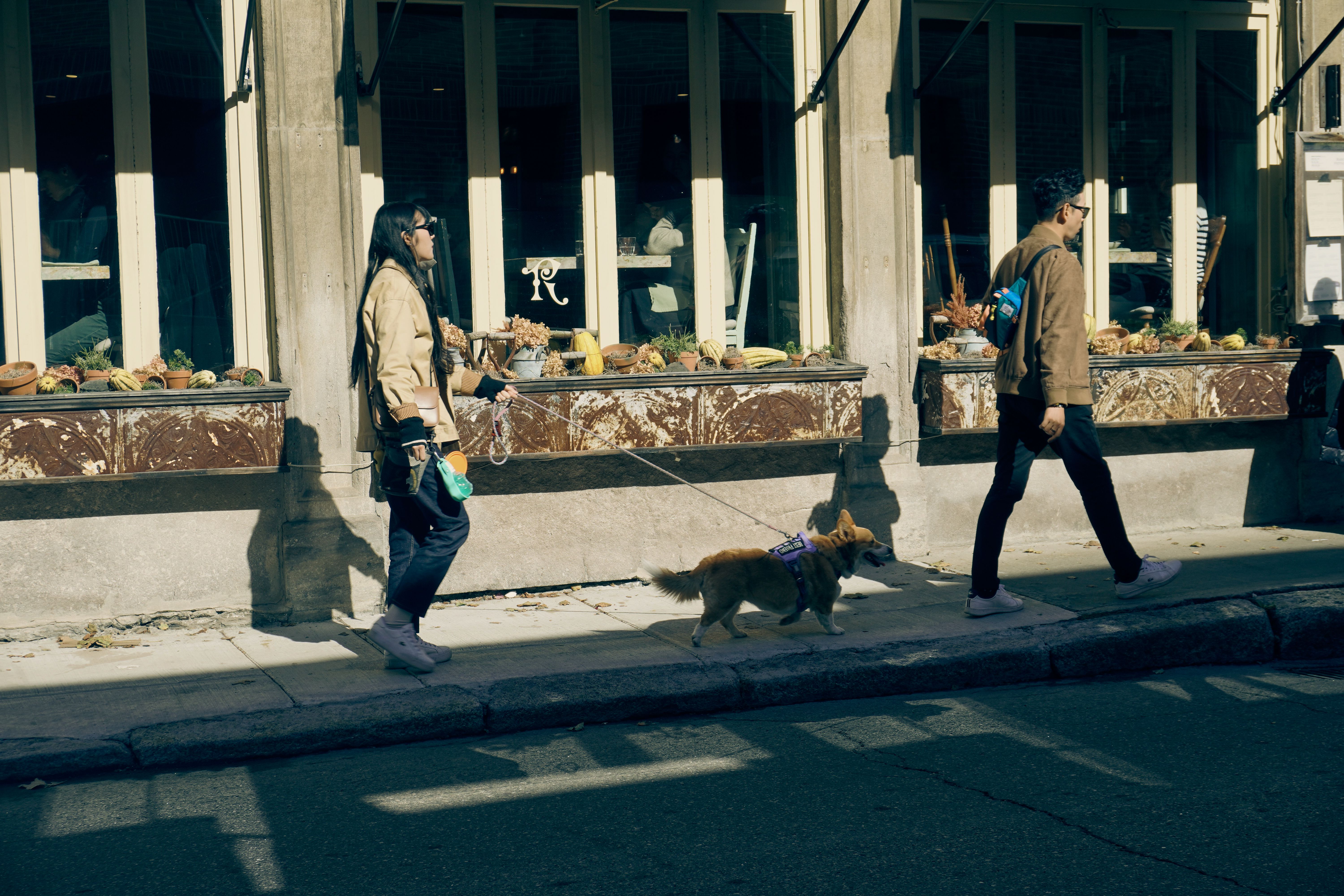 Amazon’s $19 Reflective Dog Safety Vest Helps Keep Pups Visible After Dark — Photo by Abdel Achkouk on Pexels