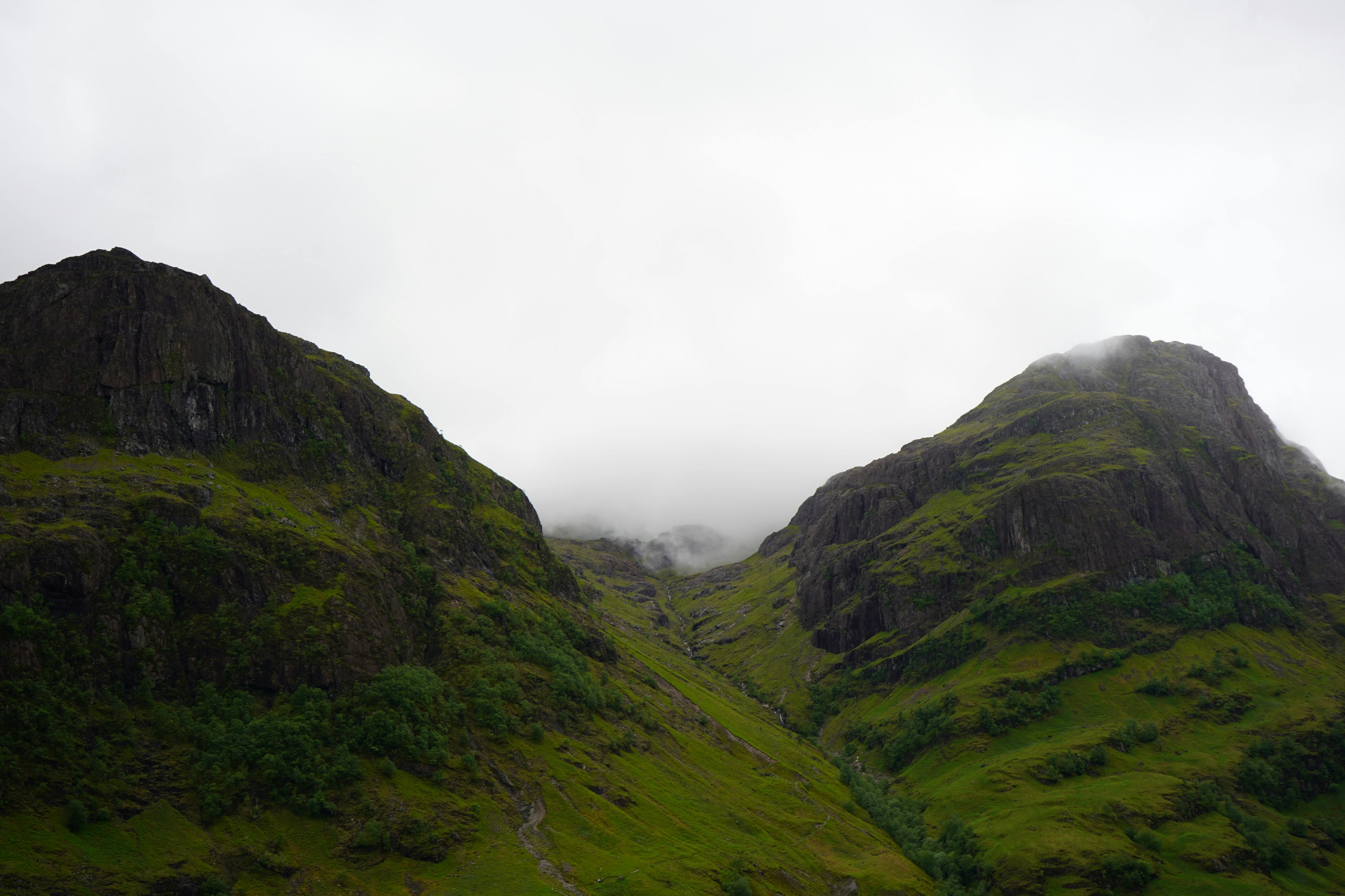 國際：全球多國聚焦氣候變遷峰會，共商永續發展策略