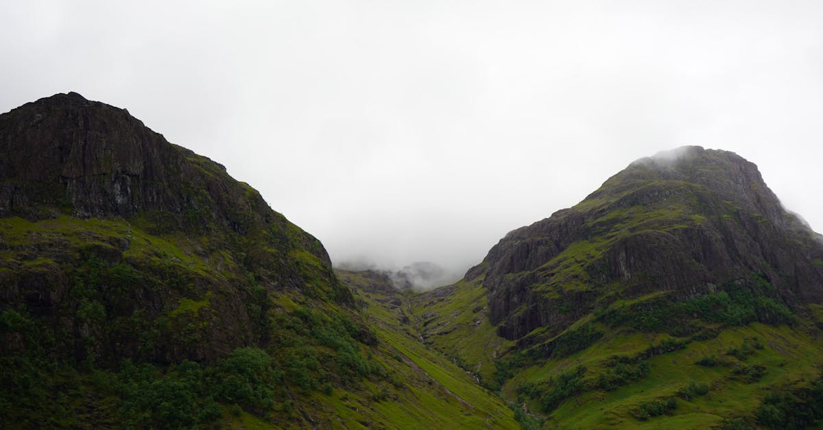 國際:全球多國聚焦氣候變遷峰會,共商永續發展策略