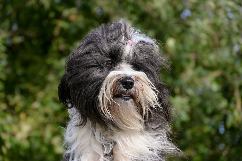Marley - photo 1