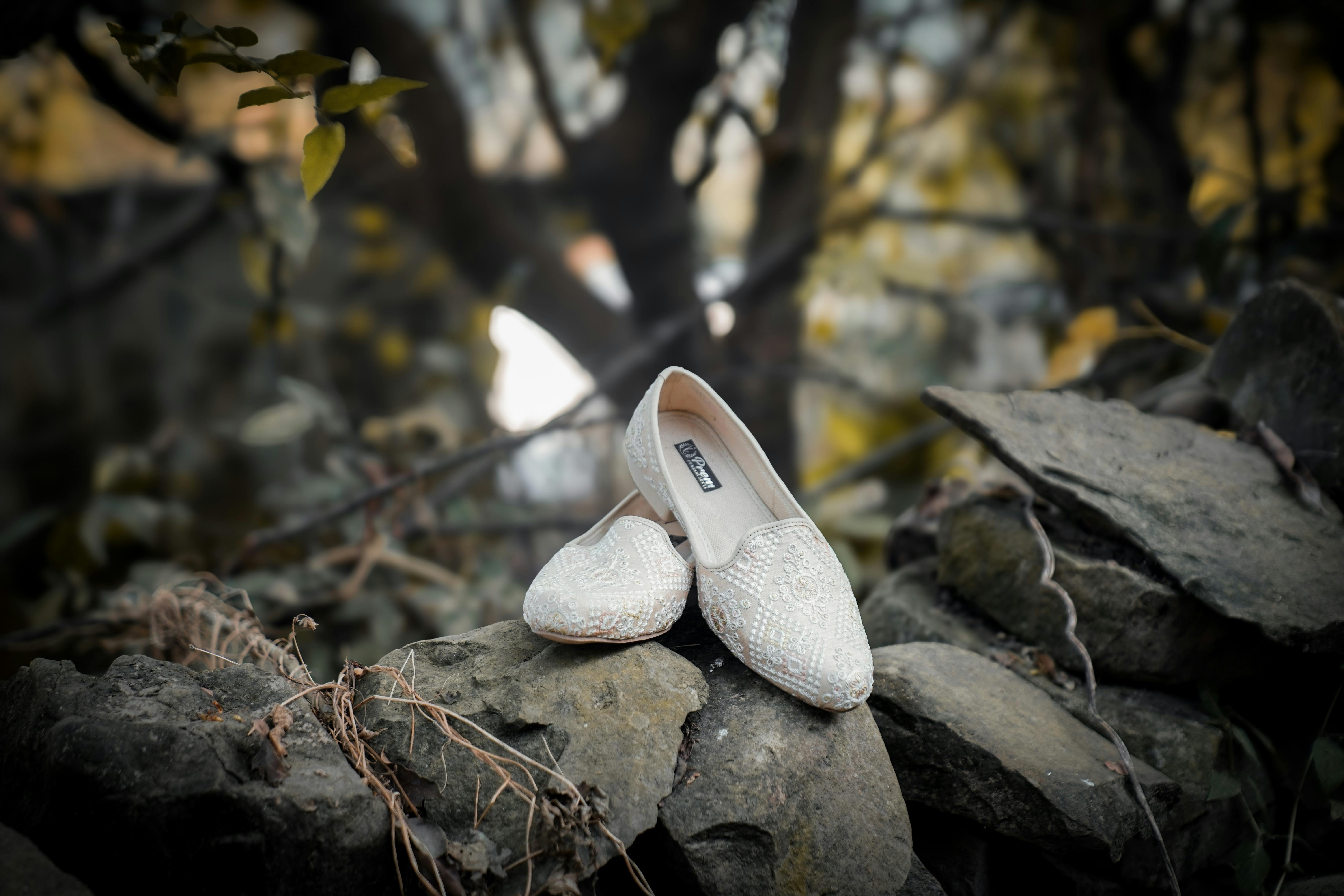 Golden Slipper Hires Lori Rubin as Executive Director — Photo by Mir Burhan on Pexels