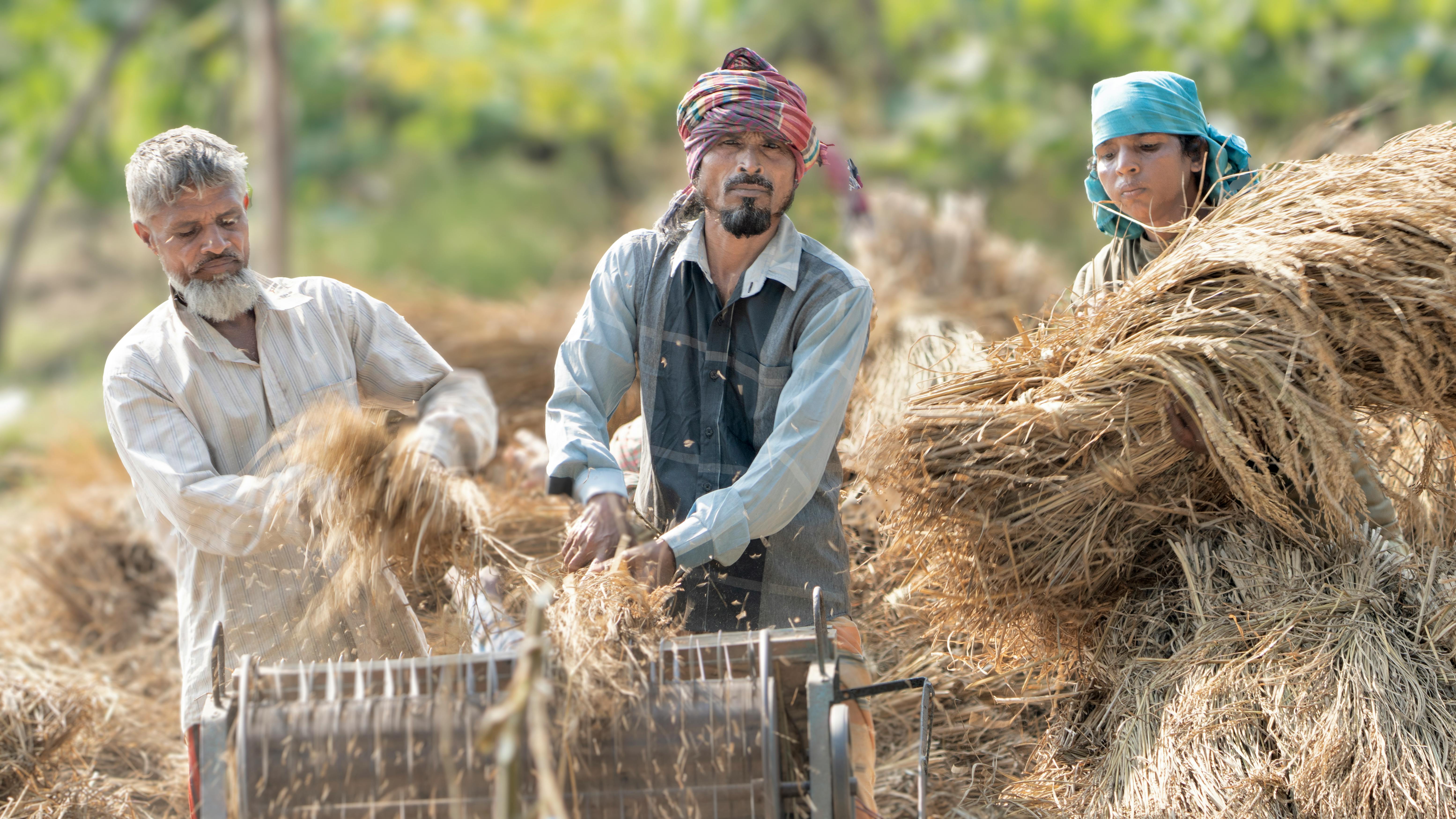 Year-end financial planning for farmers — Photo by Musaddek Sayek on Pexels