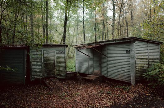 A serene view of rustic wooden cabins in a lush green forest.