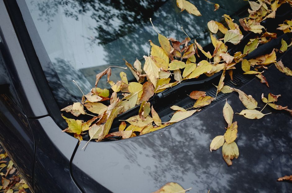 Vidros automotivos