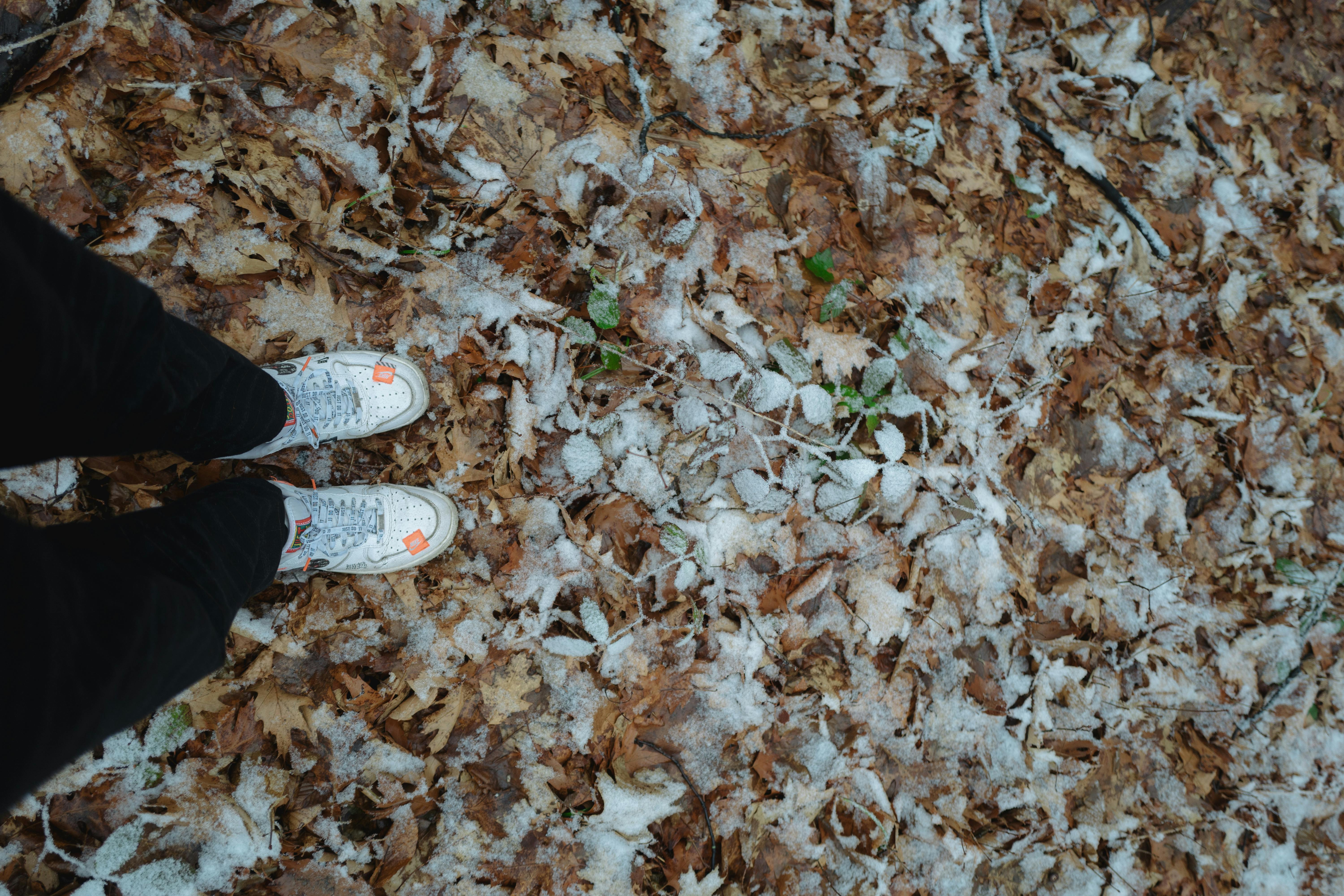 초겨울 캠핑 시작하기: 입문자를 위한 11월~12월 첫 캠핑 완벽 가이드
