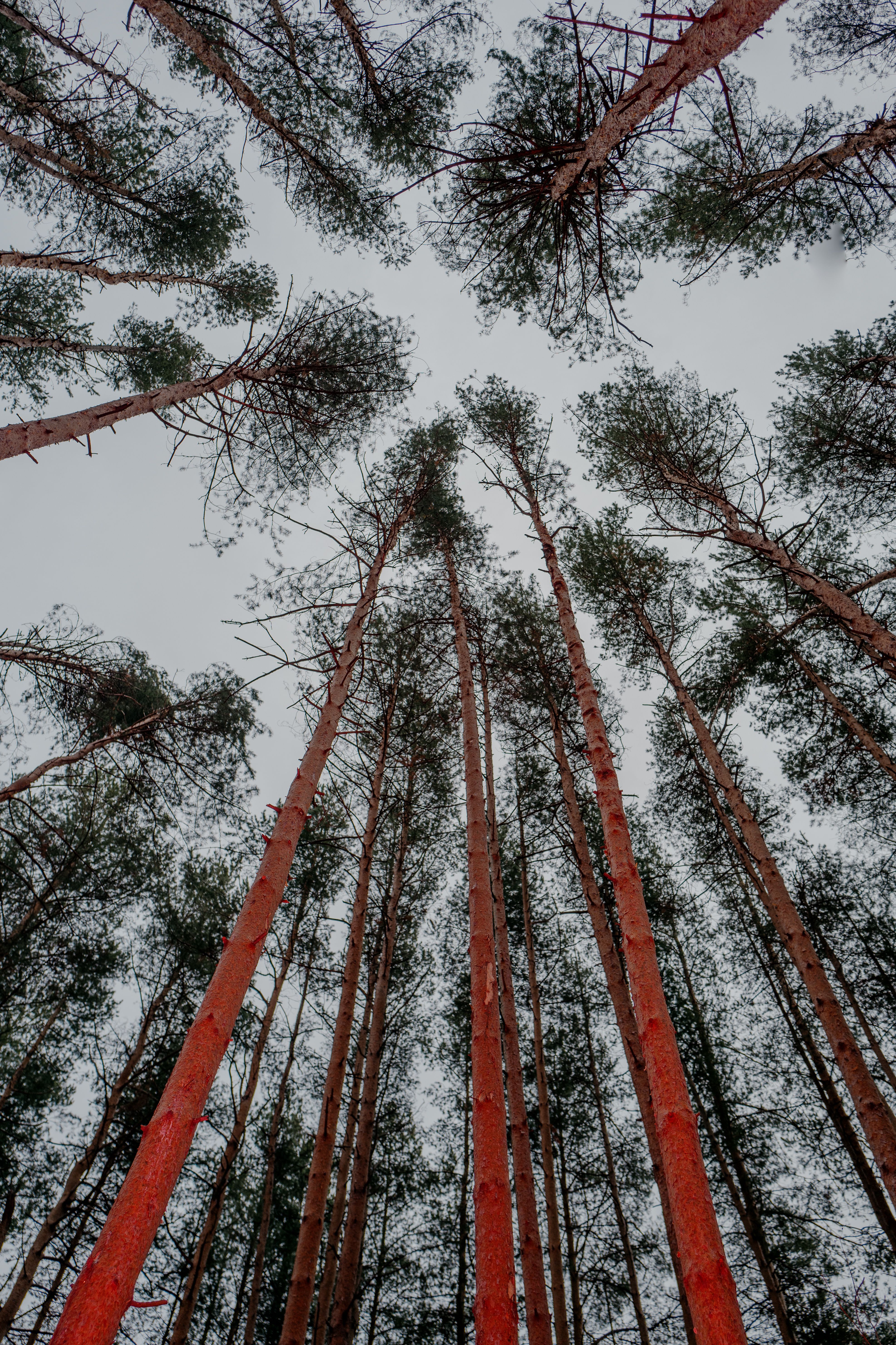 Pikw+Skyward Photos, Download The BEST Free Pikw+Skyward Stock Photos ...