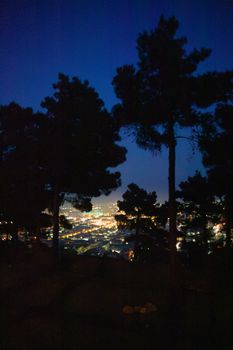 Stunning city lights view through silhouetted trees at night.