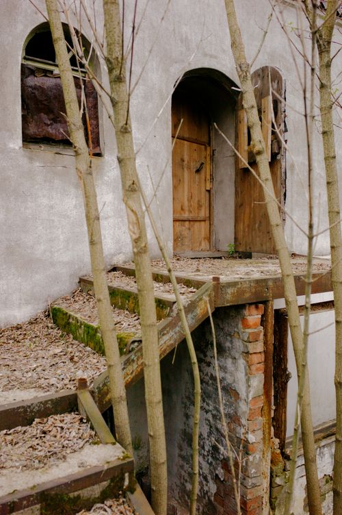 Free Explore the eerie charm of an abandoned house with a weathered wooden door and decaying staircase. Stock Photo
