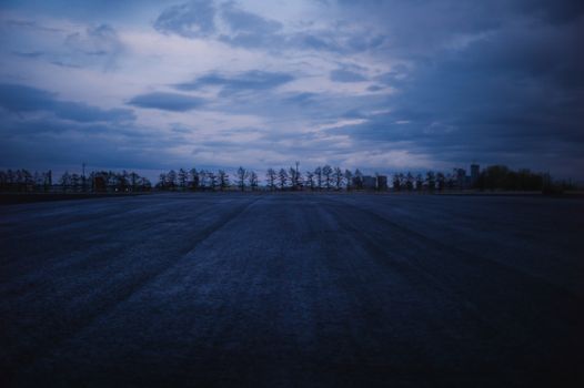 Dusk settles over an empty field with silhouetted treeline and distant skyline.