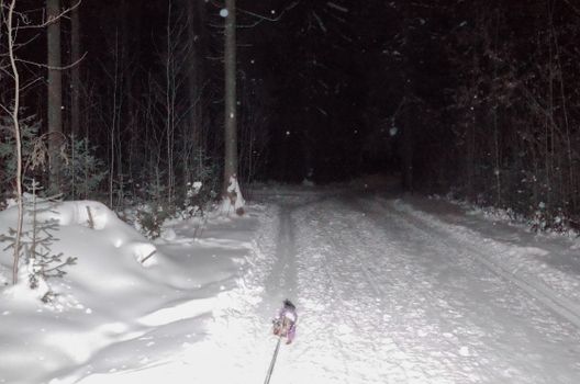 A serene winter night scene with a snow-covered forest path and falling snowflakes.