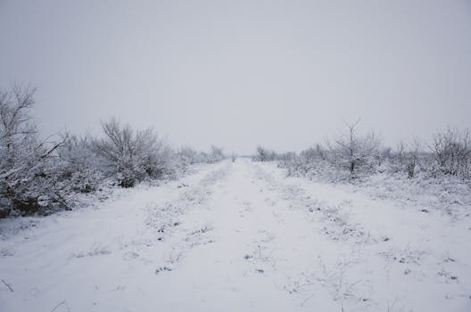 Photo by Daniil Ustinov