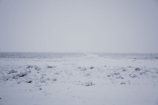 A calm and expansive snowy field under a pale winter sky, evoking tranquility and solitude.