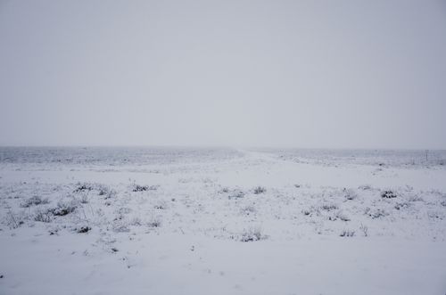 Free A calm and expansive snowy field under a pale winter sky, evoking tranquility and solitude. Stock Photo