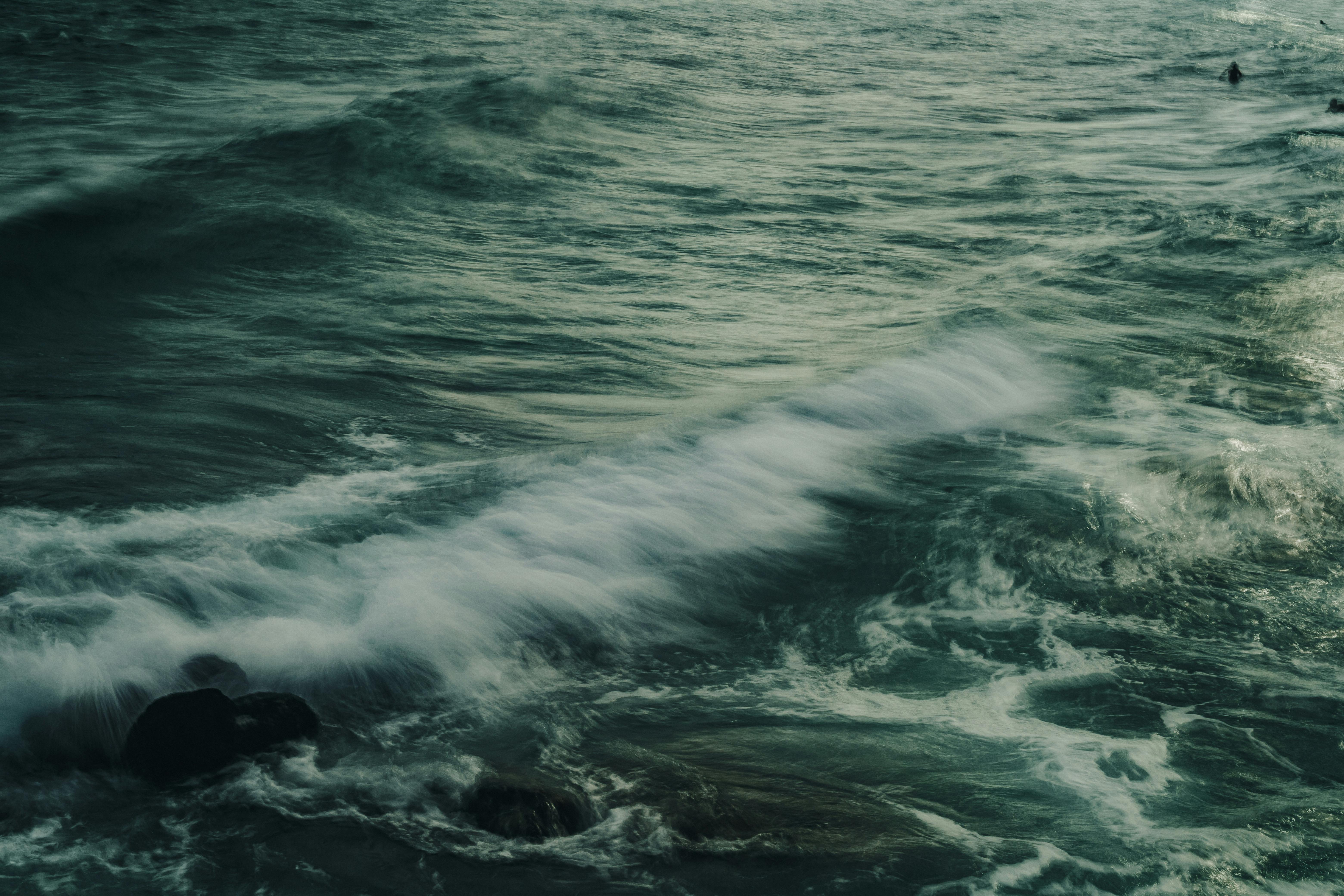 生活：印度移民加拿大5年心酸：開車受氣、感情難題，最終決定返