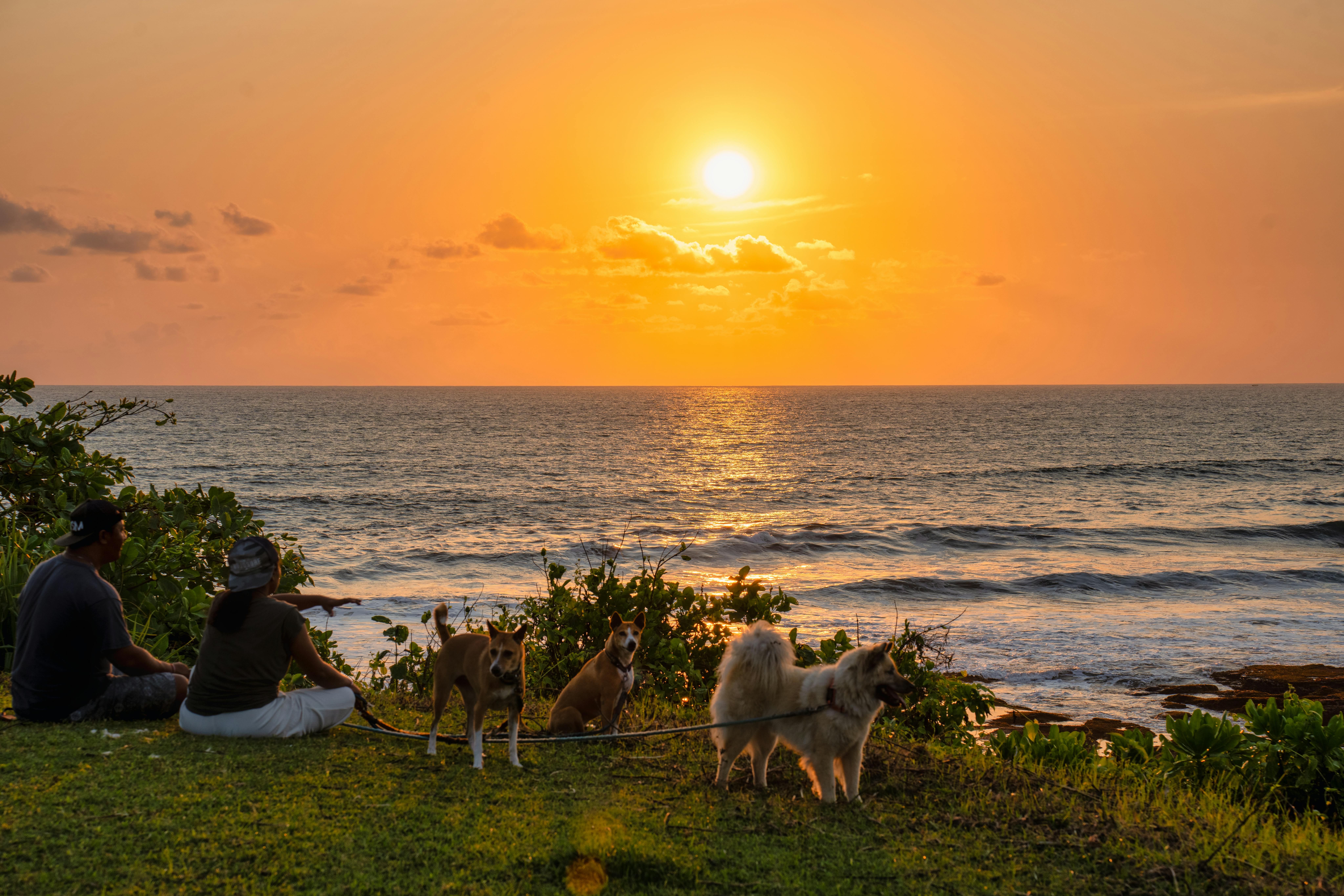 Secret Life-Changing Meditation Hacks to Transform Your Mind