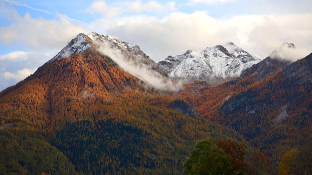 Breathtaking view of snow-capped mountains with vibrant autumn foliage under a clear sky.