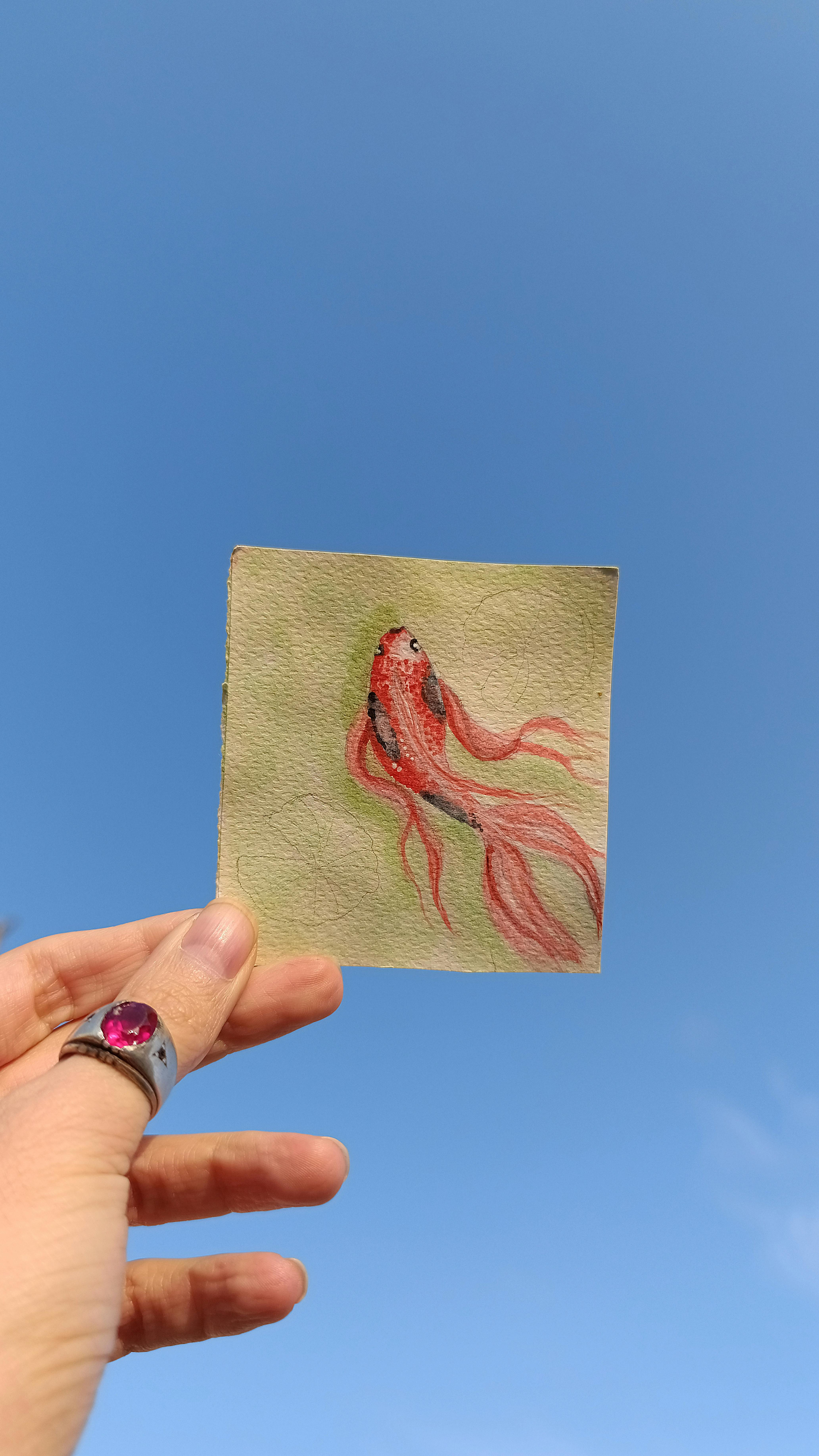 gratis Persoon houdt een delicate aquarel van een goudvis vast tegen een helderblauwe lucht. Stockfoto