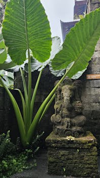 A serene Ganesha statue set amidst lush tropical foliage in a Balinese garden.