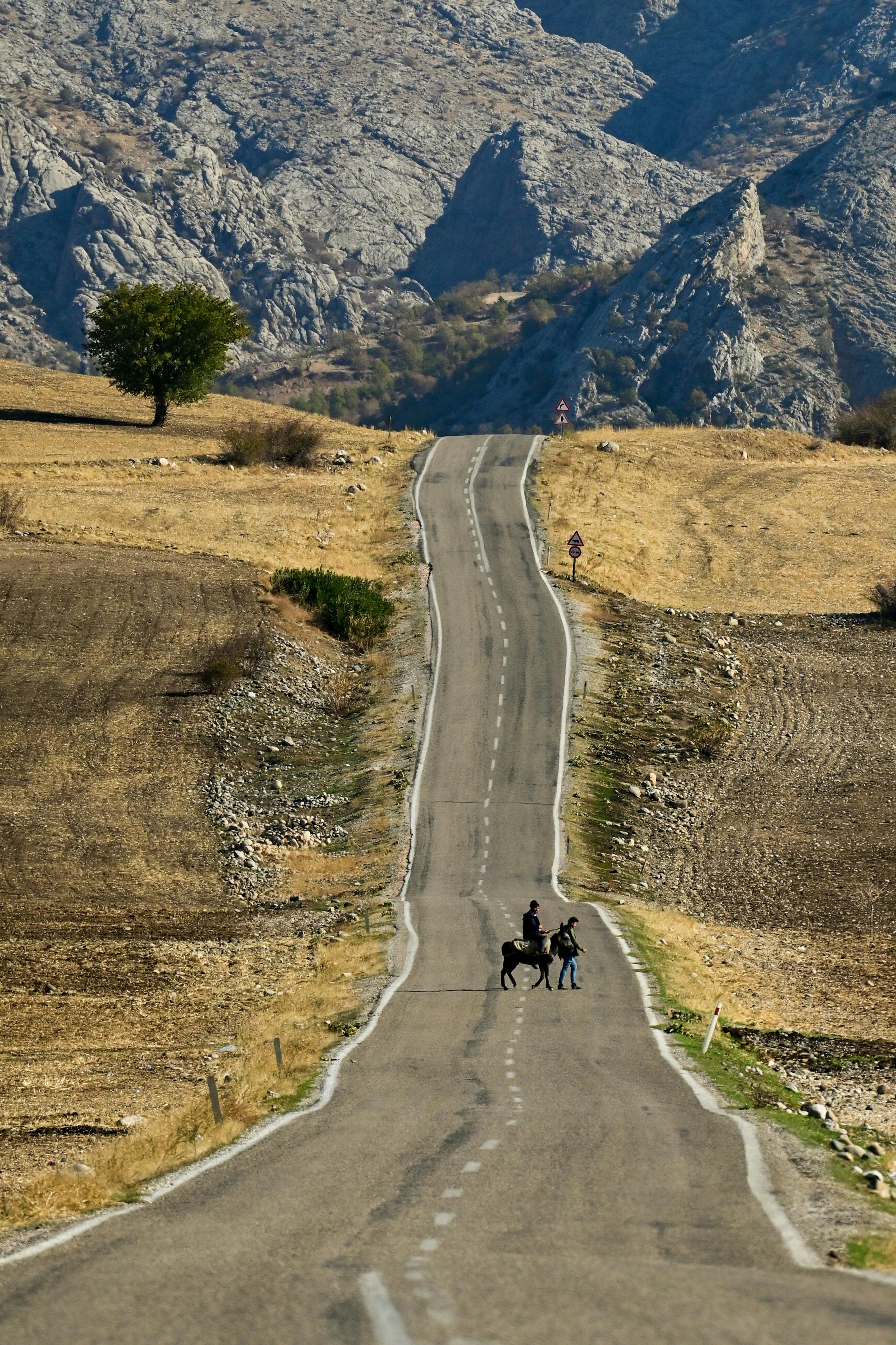 Gratis Una strada rurale panoramica si estende verso le montagne rocciose di Adıyaman, in Turchia, ed è attraversata da due persone e un cavallo. Foto a disposizione