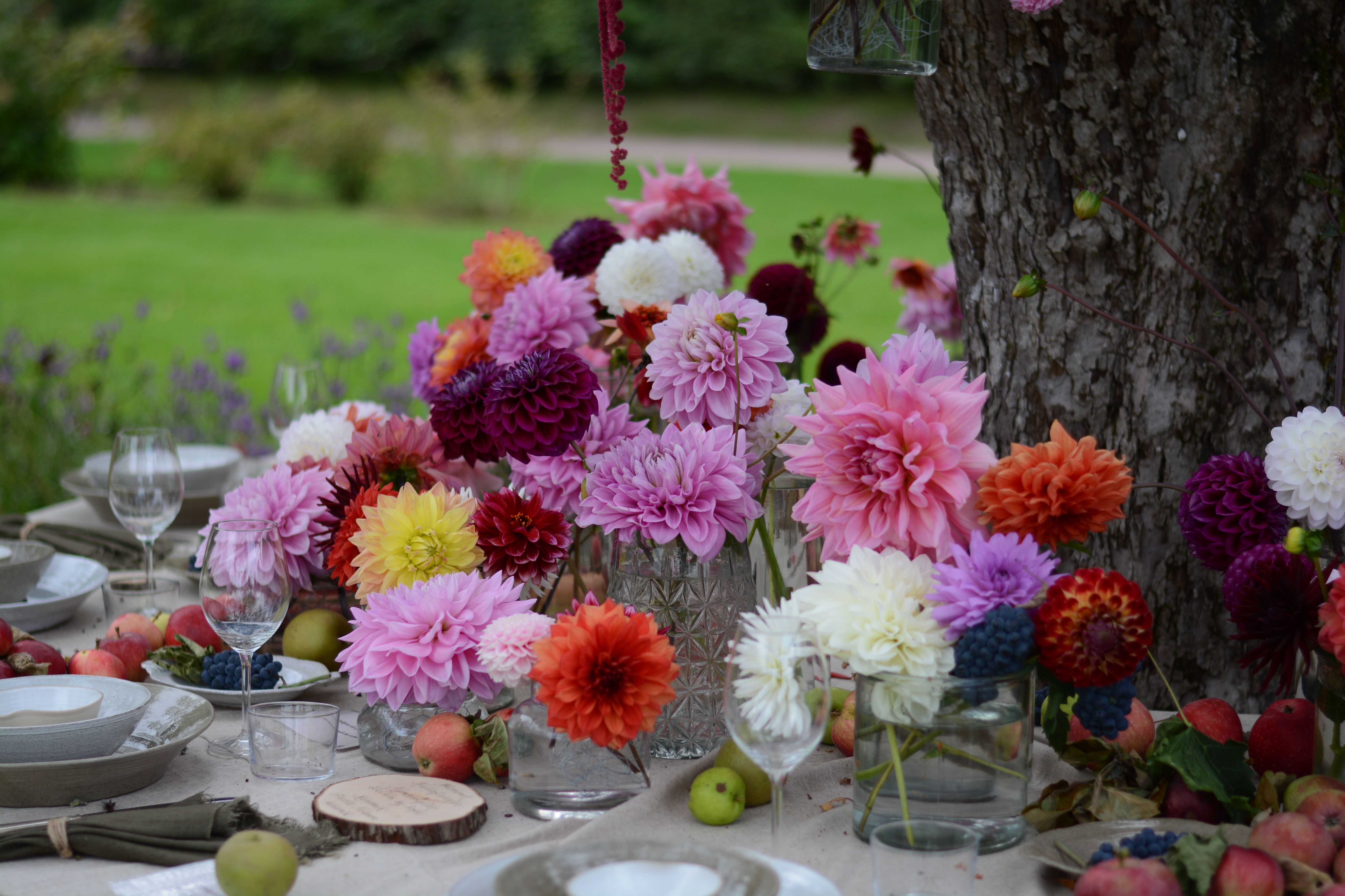 Vibrant Floral Table Setup in Garden · Free Stock Photo