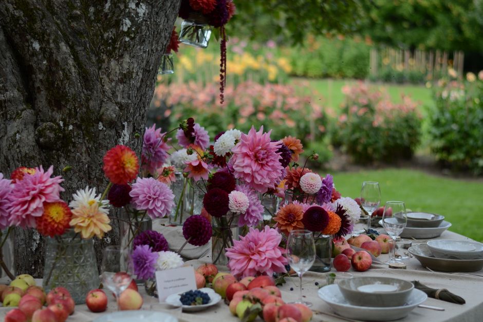 Descoperă natura și tradițiile la Picnic în Pustă – duminică, 28 septembrie, în Otelec. Un eveniment de neratat pentru iubitorii de aer liber!