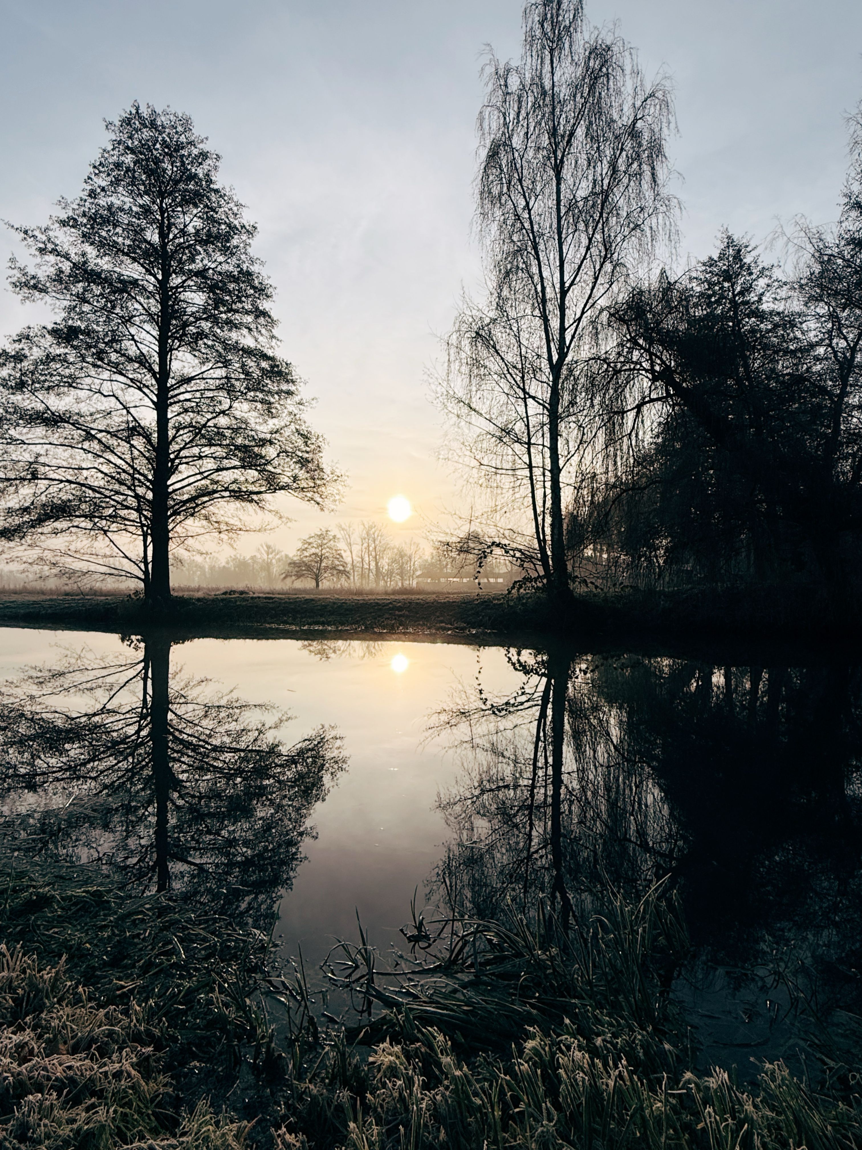Serene winter sunrise reflecting in the Spreewald canal in Burg, Germany.