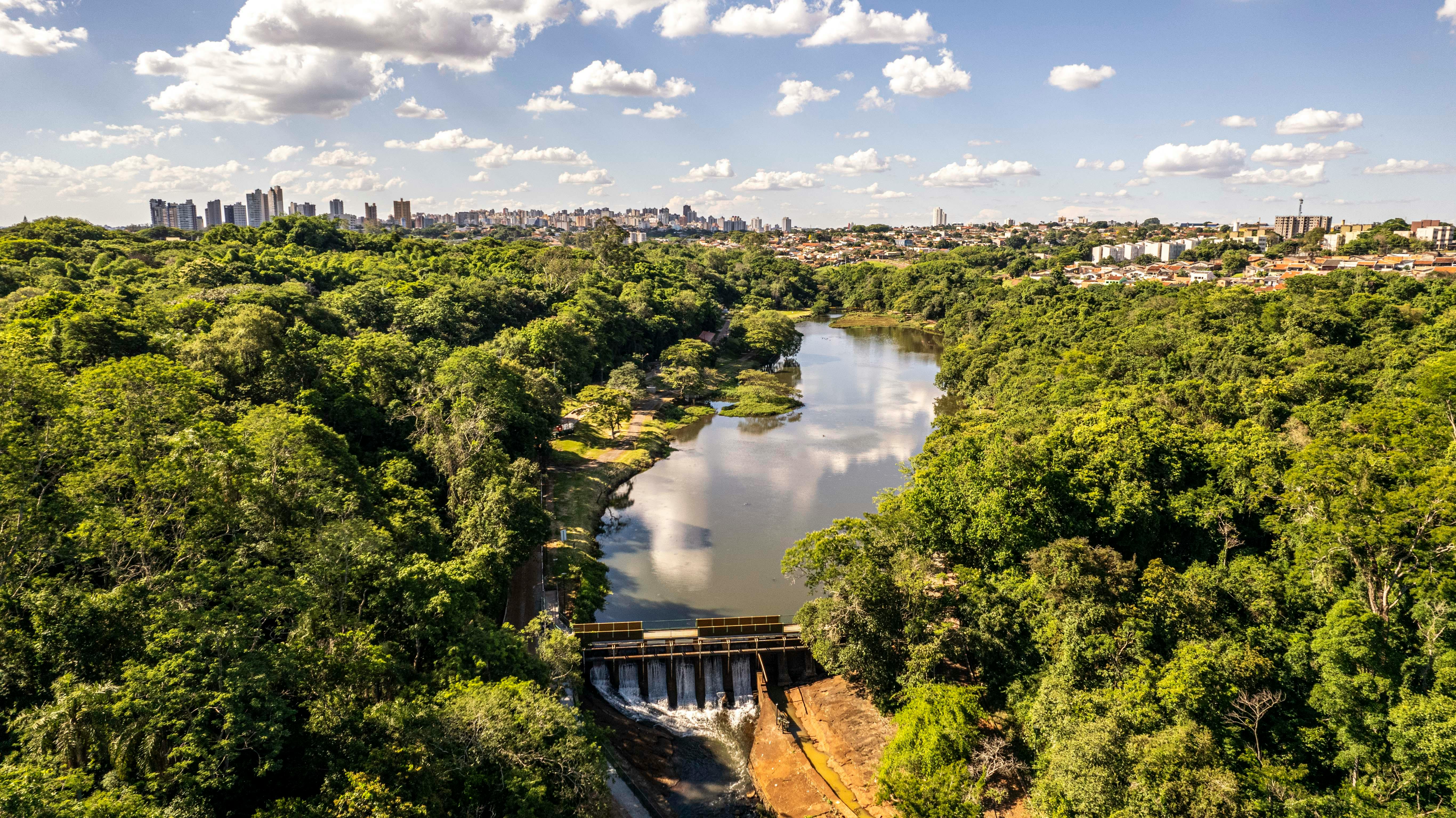 Luyện tập trước