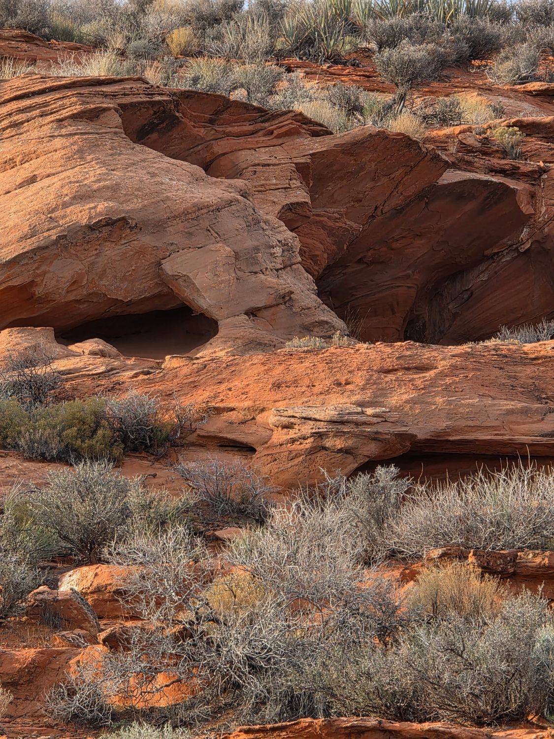 Landscape Photography Red Rocks Red Rock Formation in Desert Landscape · Free Stock Photo