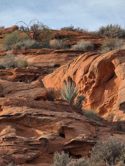 Free A scenic landscape of rocky desert terrain featuring rugged red rocks and sparse vegetation. Stock Photo