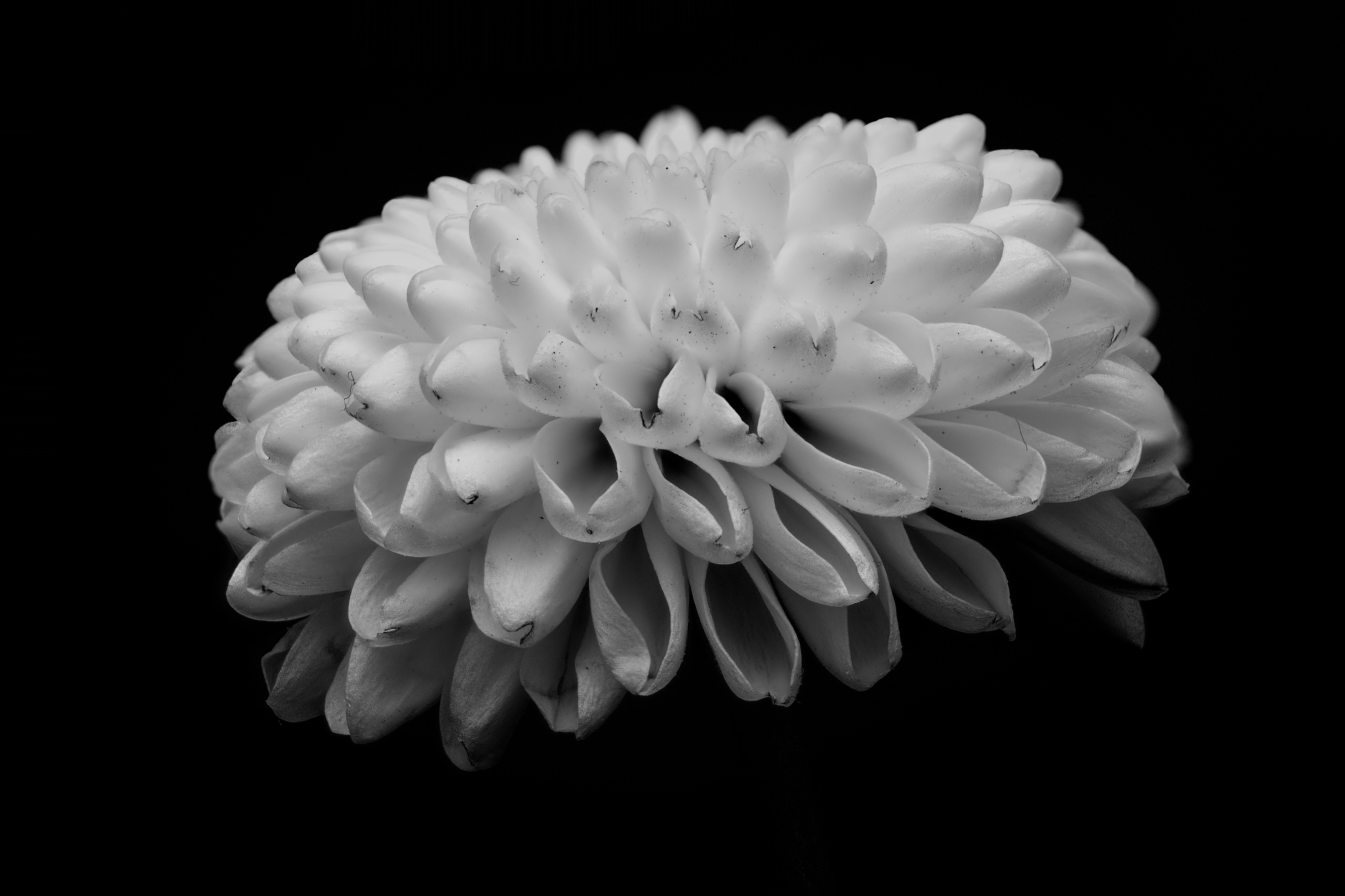 Fiyatı Uygun Bakırköy Daireleri: Hangi Lokasyonlar ve Projeler Öne Çıkıyor?