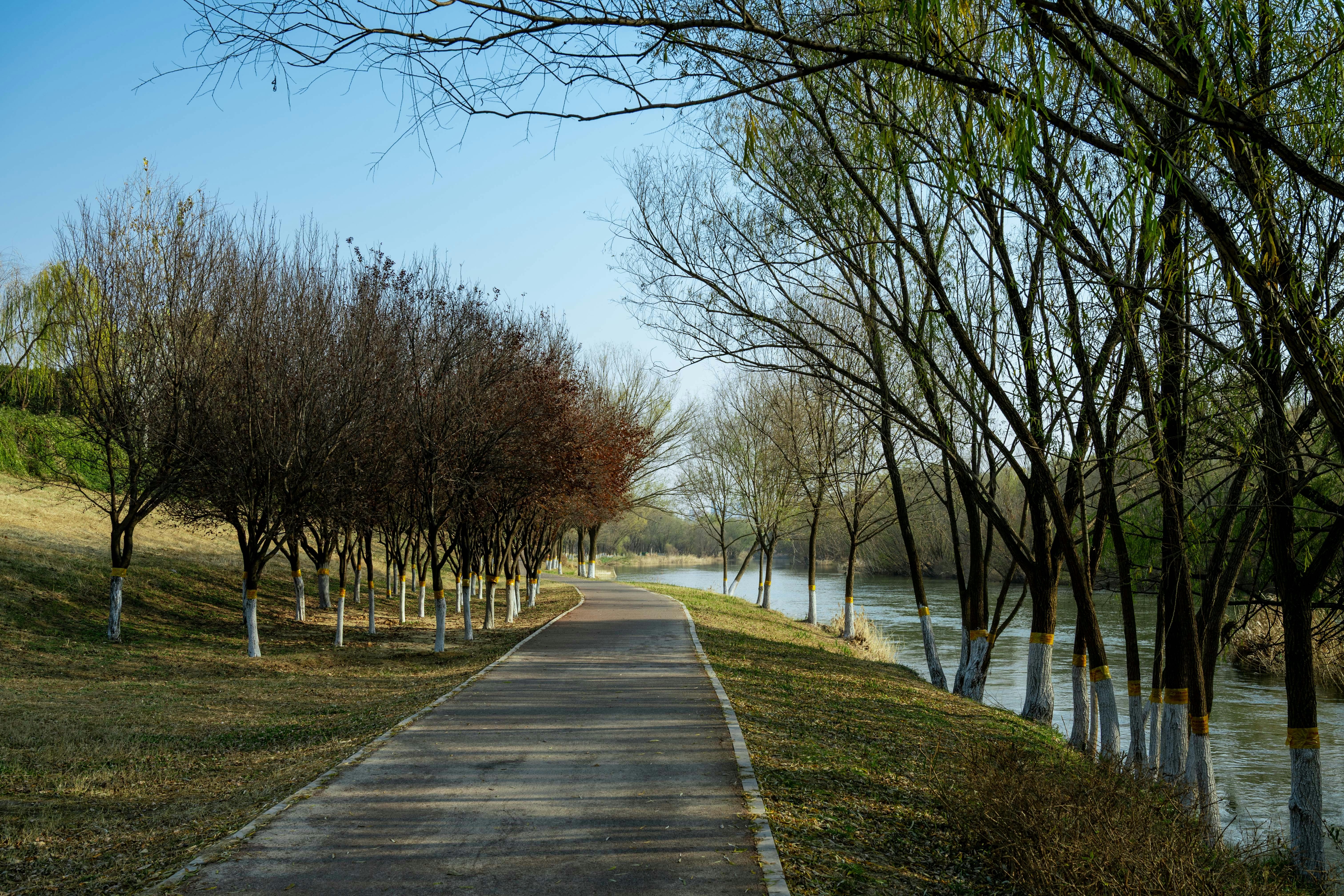 打造健康生活習慣，提升身心靈全方位幸福感