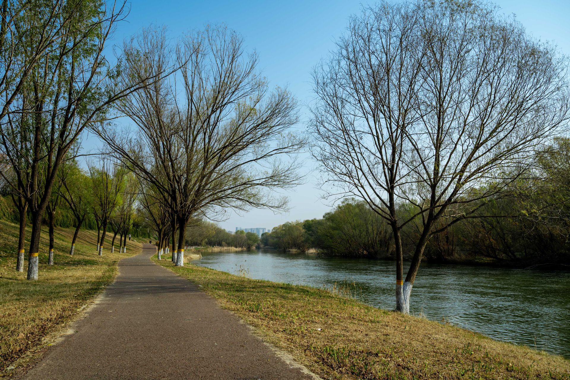 Un sendero para caminar vacío en un parque a primera hora de la mañana