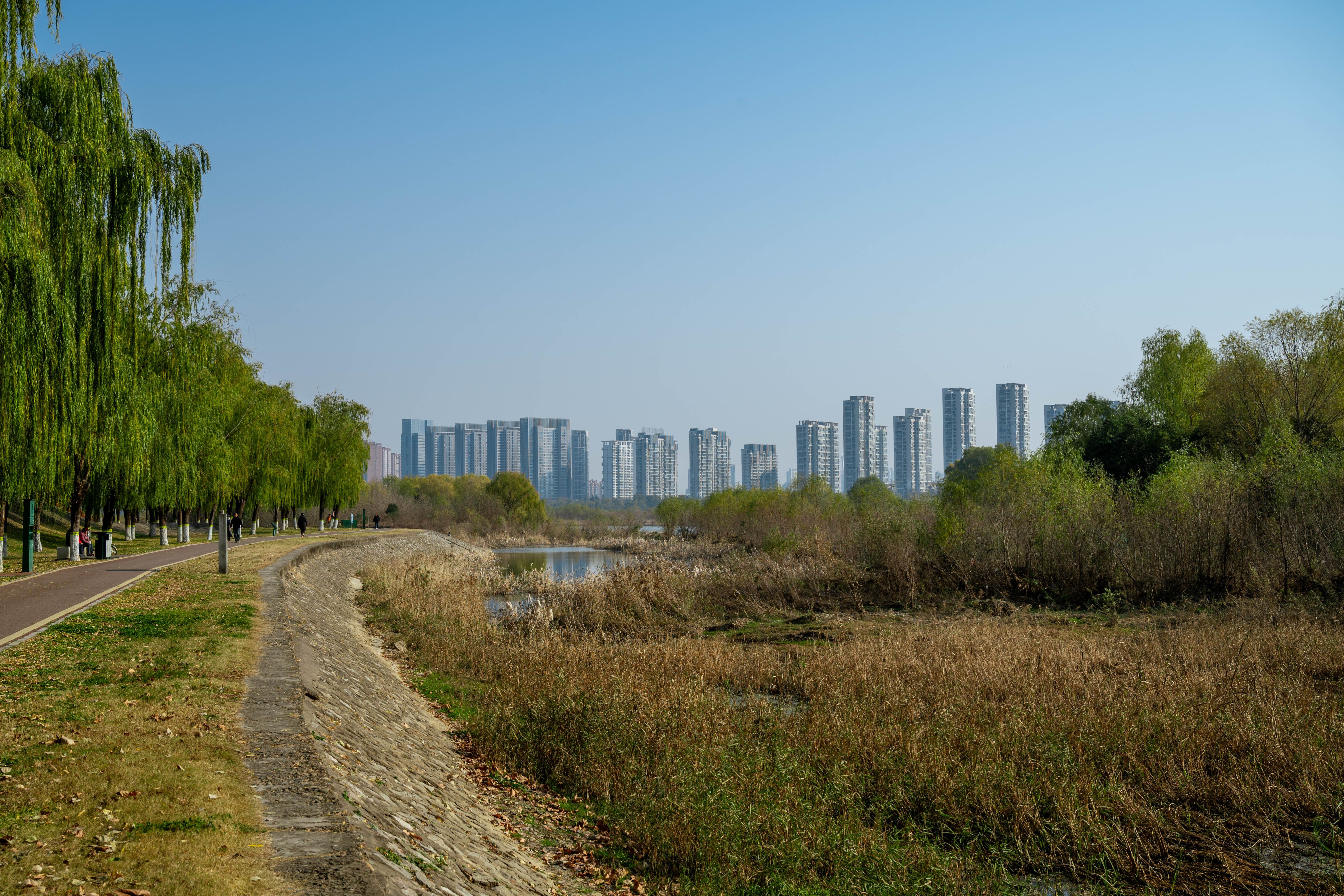 Urban skyline along lush riverside walkway · Free Stock Photo