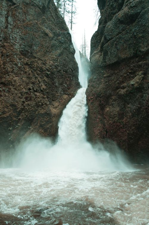 Free Powerful waterfall cascading between rocky cliffs in Oregon gorge. Stock Photo