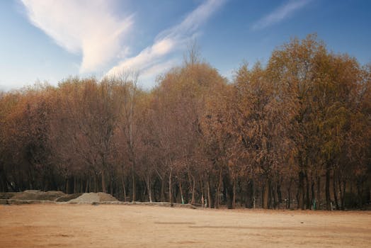 Free stock photo of 2020 wallpaper, 2024 wallpaper, autumn