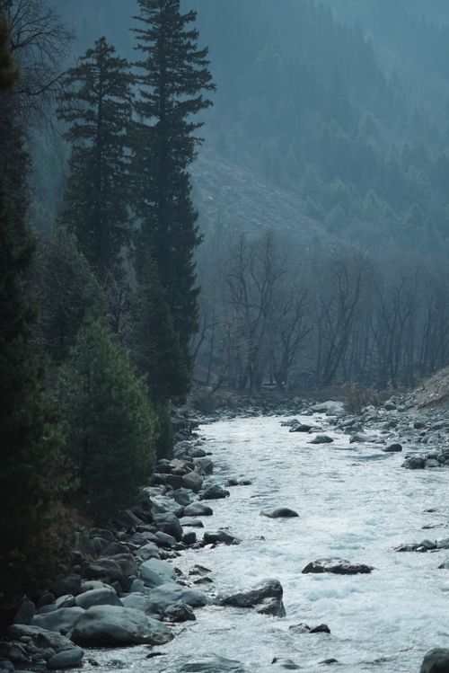Free Serene view of a flowing mountain river surrounded by lush green trees. Stock Photo