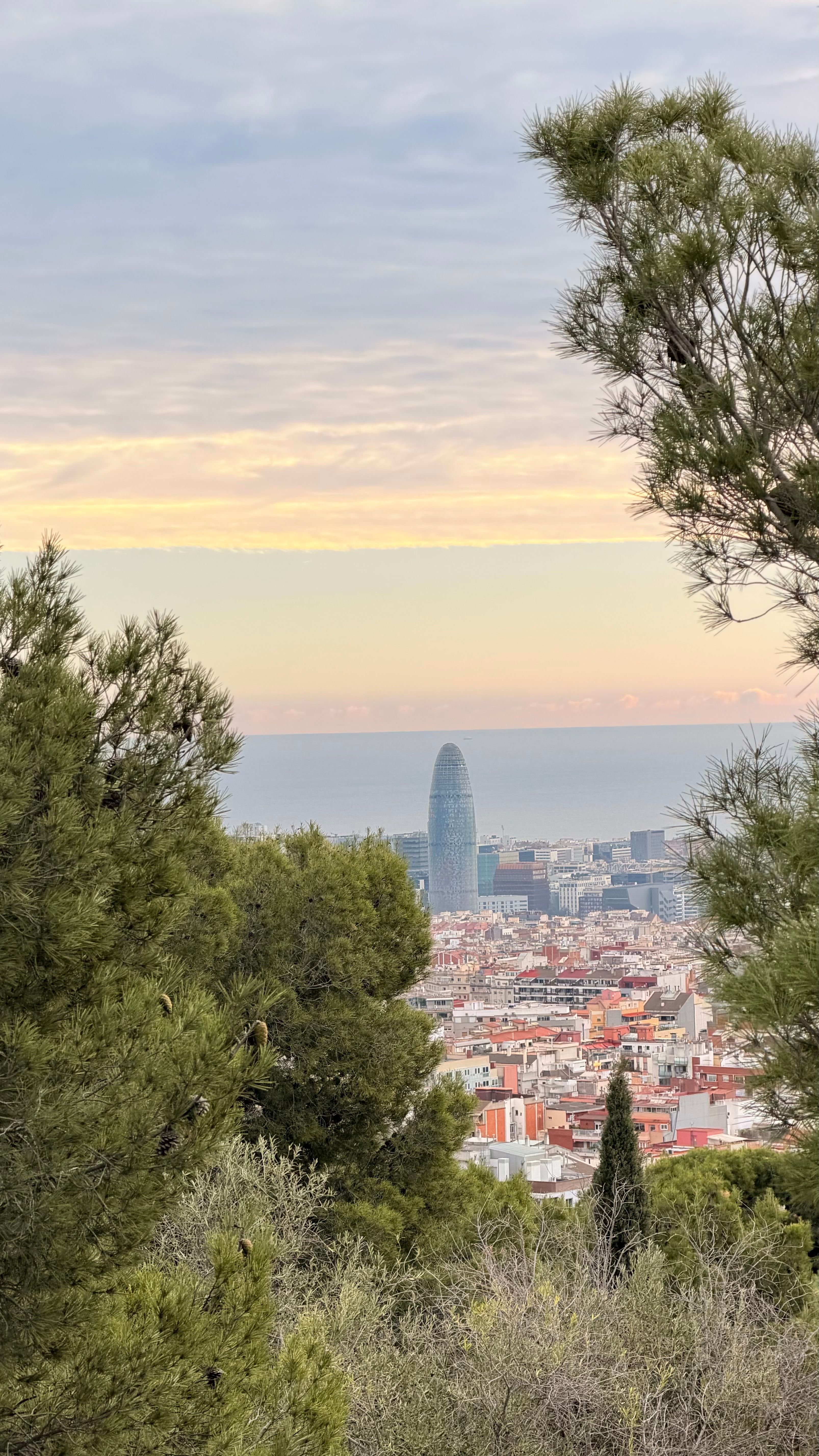 Scenic view of Barcelona skyline featuring Torre Glòries amid lush greenery at sunset.