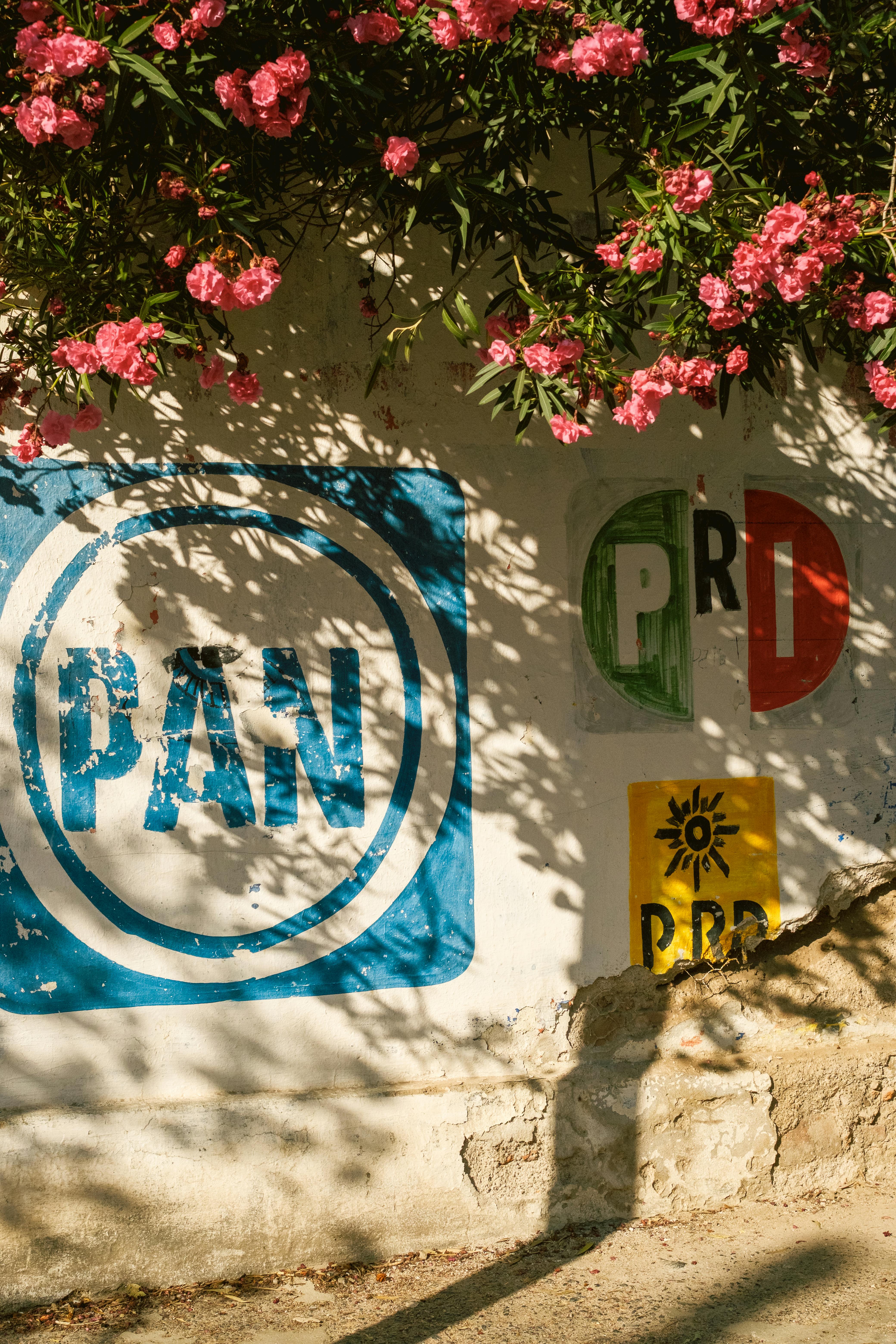 A wall displaying logos of Mexican political parties under vibrant pink flowers.