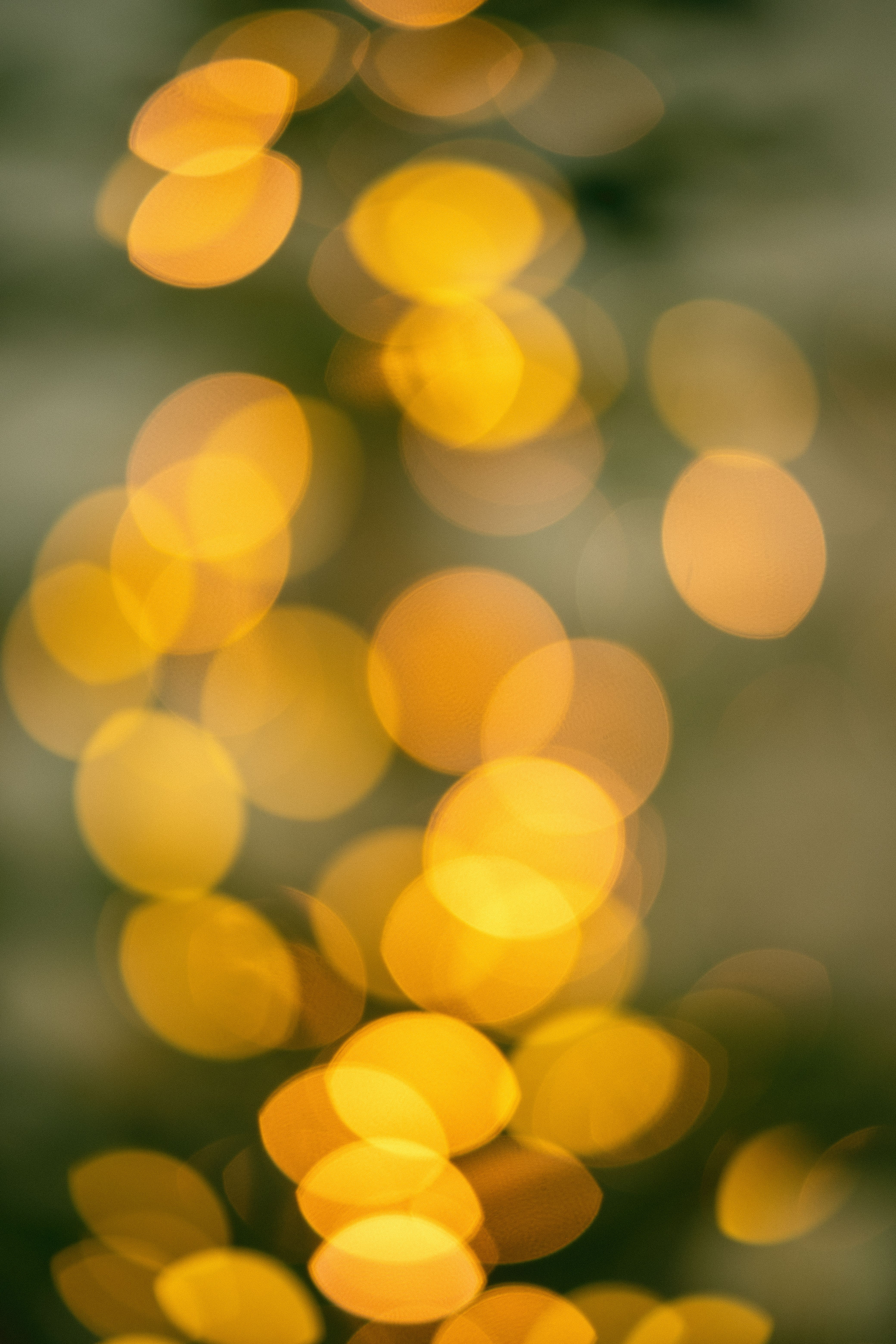 Abstract Golden Bokeh Lights Background · Free Stock Photo