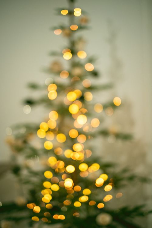 Free Bokeh effect of golden Christmas tree lights creating a festive and warm holiday ambiance. Stock Photo