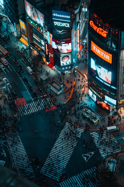 Vibrant Night at Shibuya Crossing Tokyo · Free Stock Photo