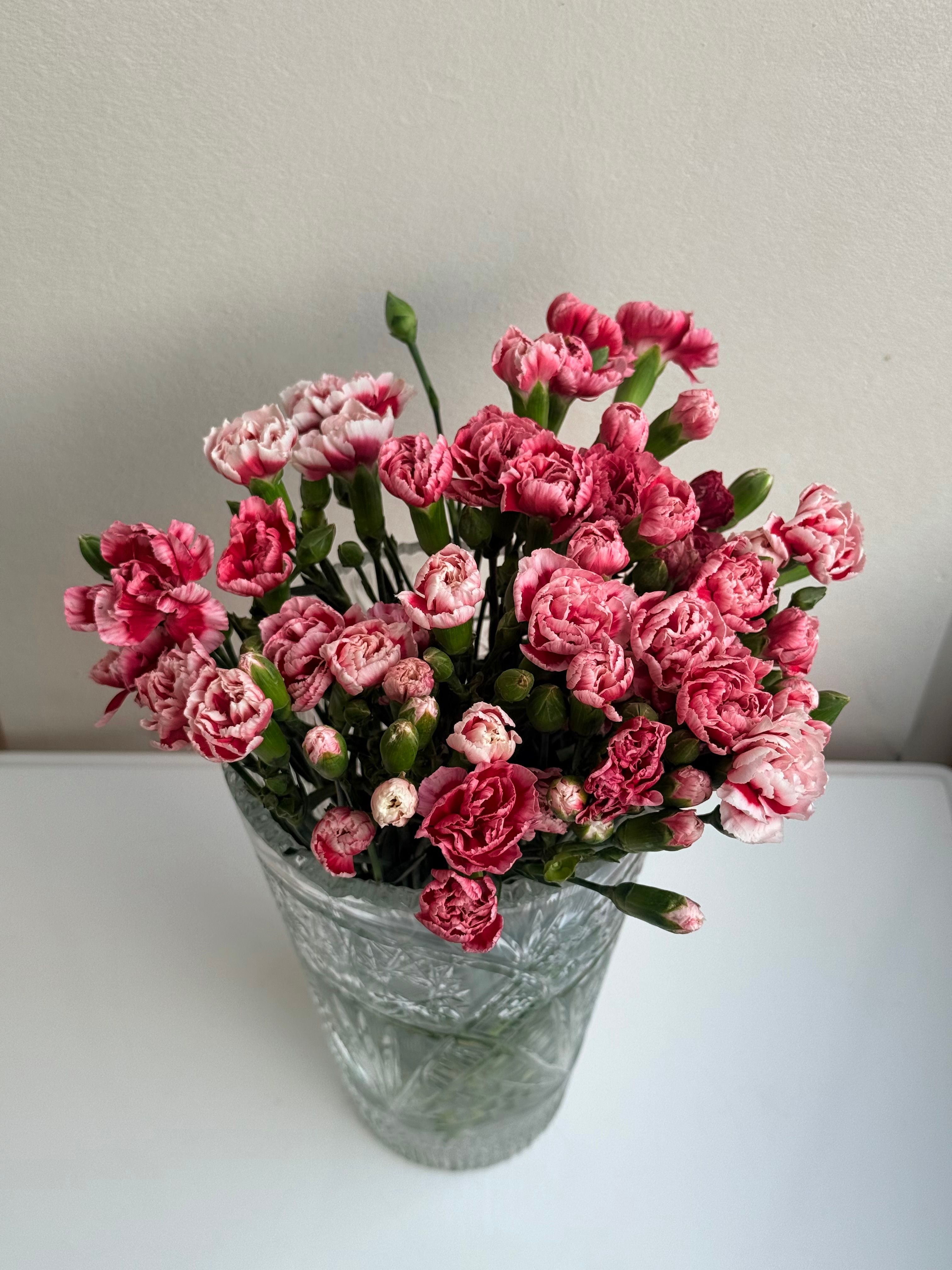 A vibrant arrangement of pink carnations elegantly displayed in a clear glass vase.