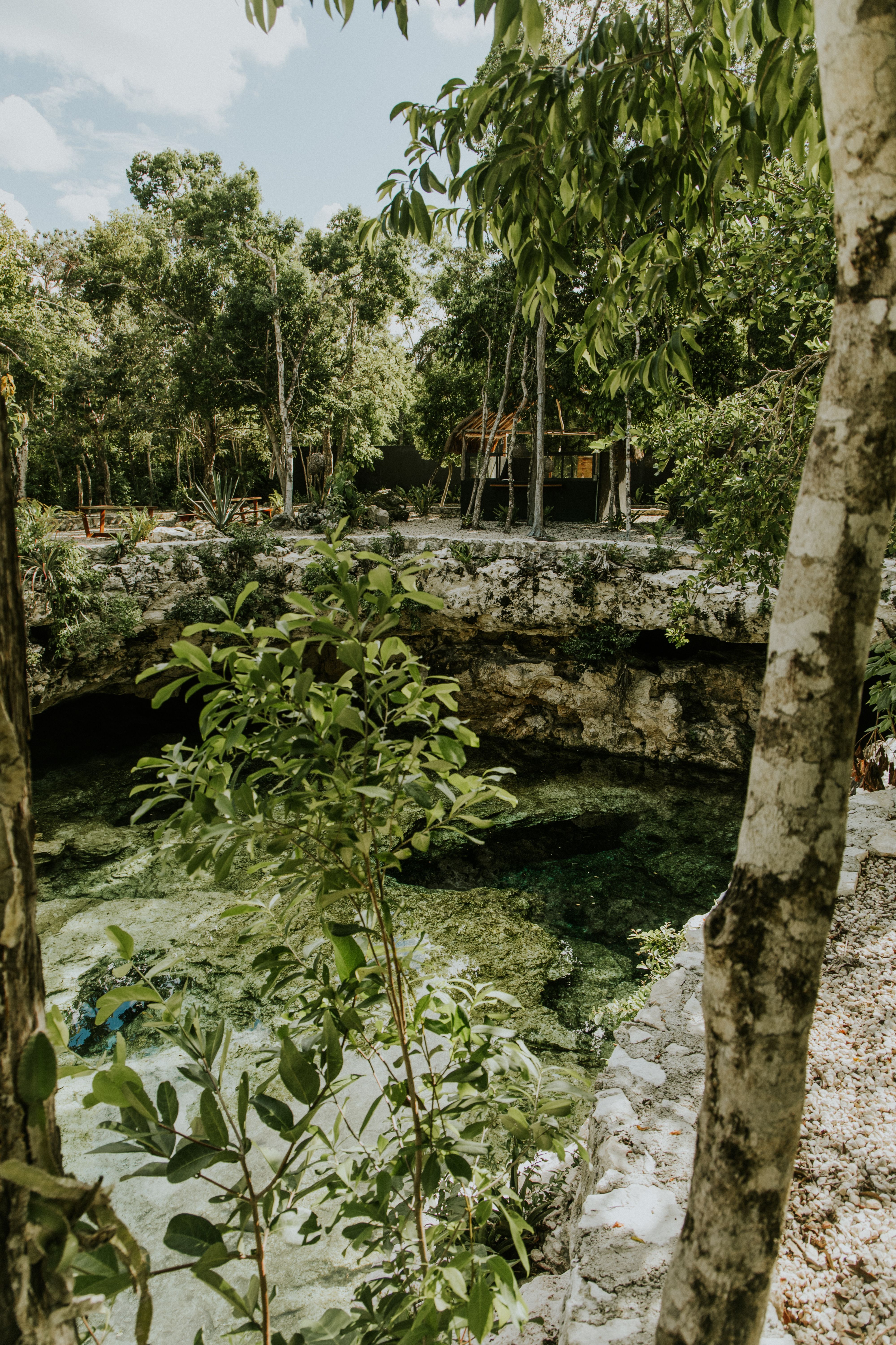 Natural cenote with clear water surrounded by jungle and limestone formations in Mexico