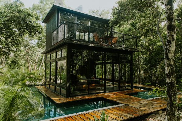 Contemporary green home with garden