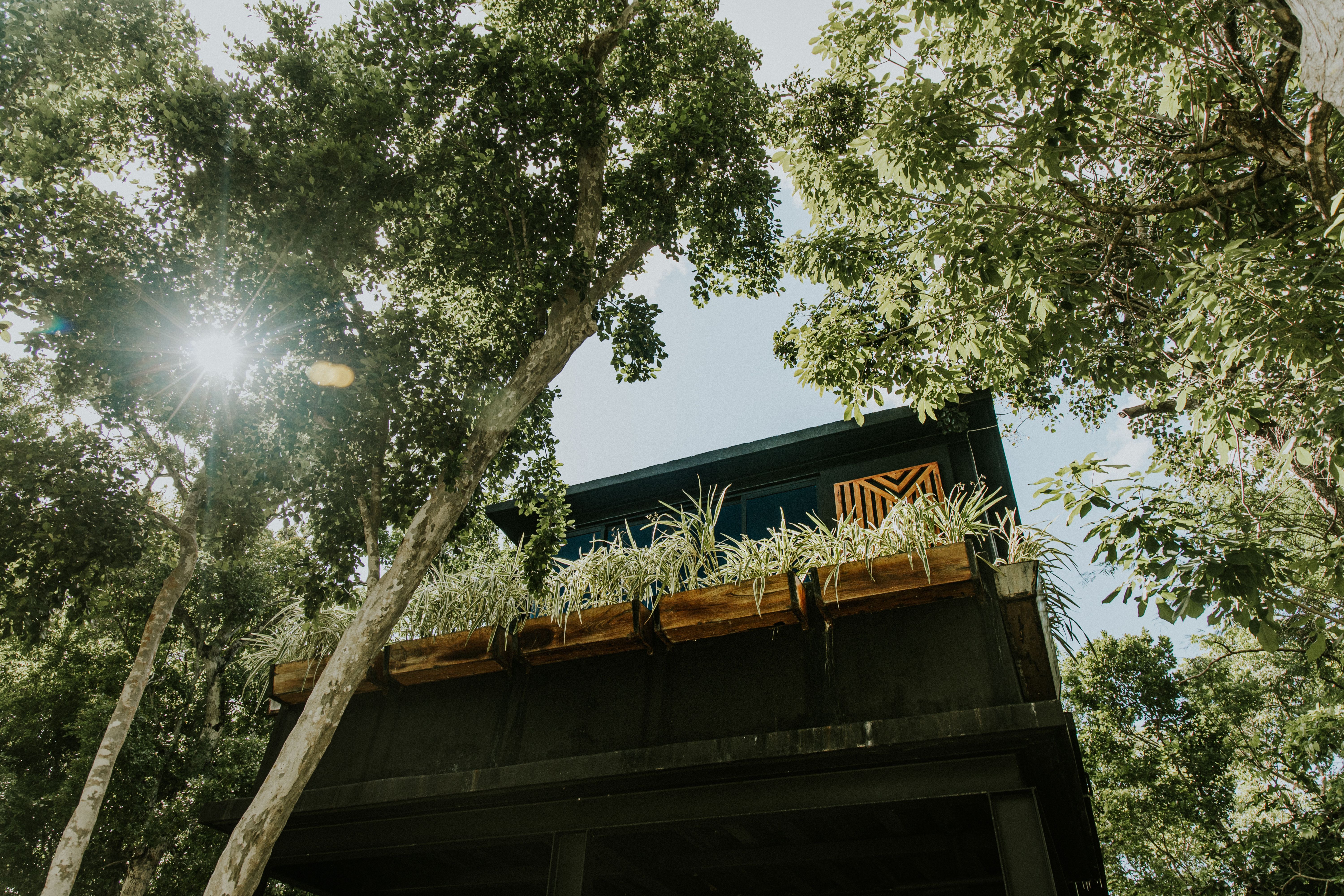 A modern treehouse surrounded by lush green trees with sun rays peeking through, creating a serene atmosphere.