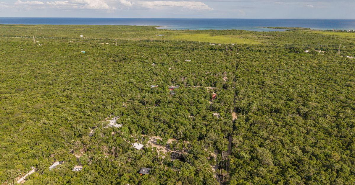 High-angle view of lush tropical forest leading to a serene coastline under a bright sky.