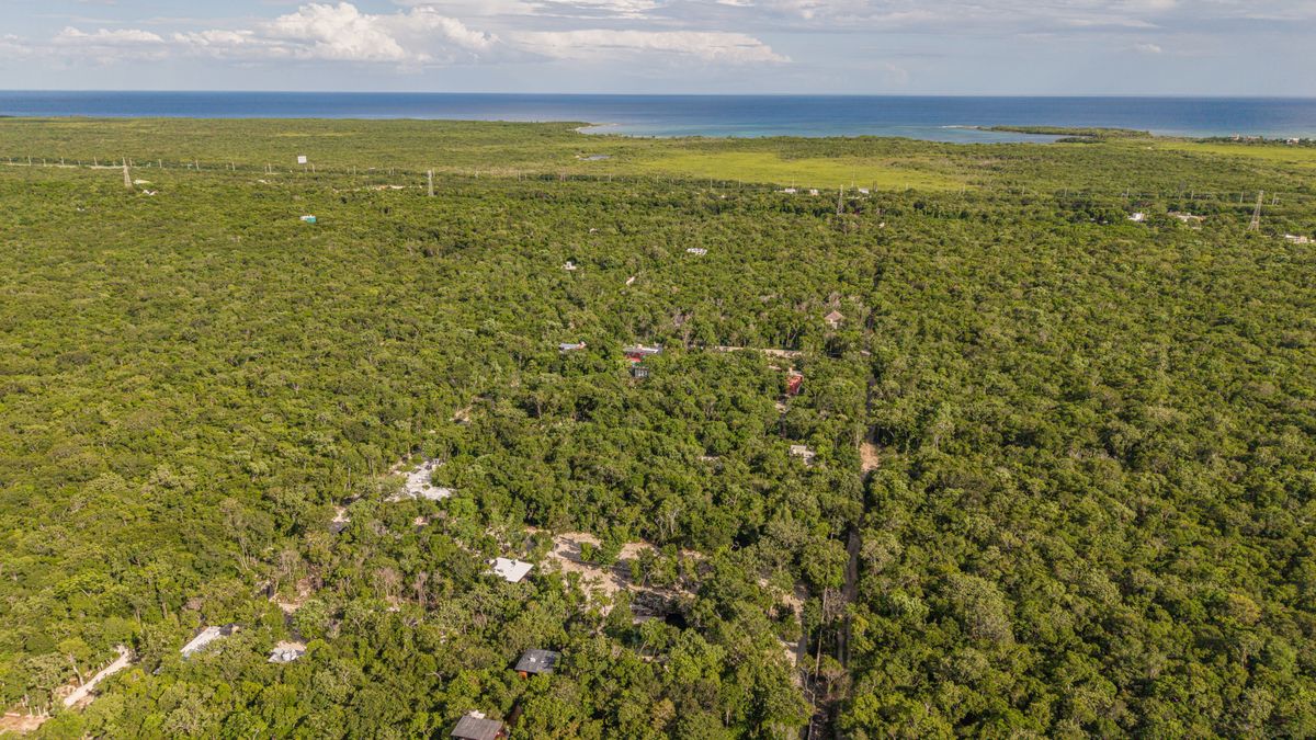 Aerial view of the coastline and rainforest of Coiba National Park