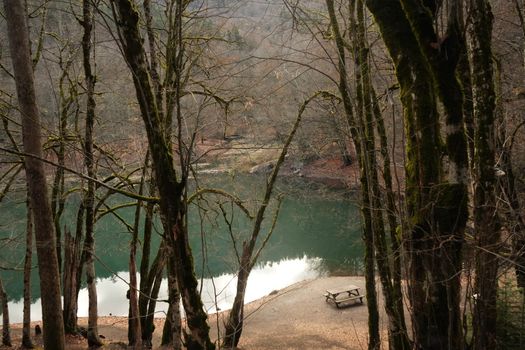 Tranquil forest scene with lake and empty picnic table in autumn.