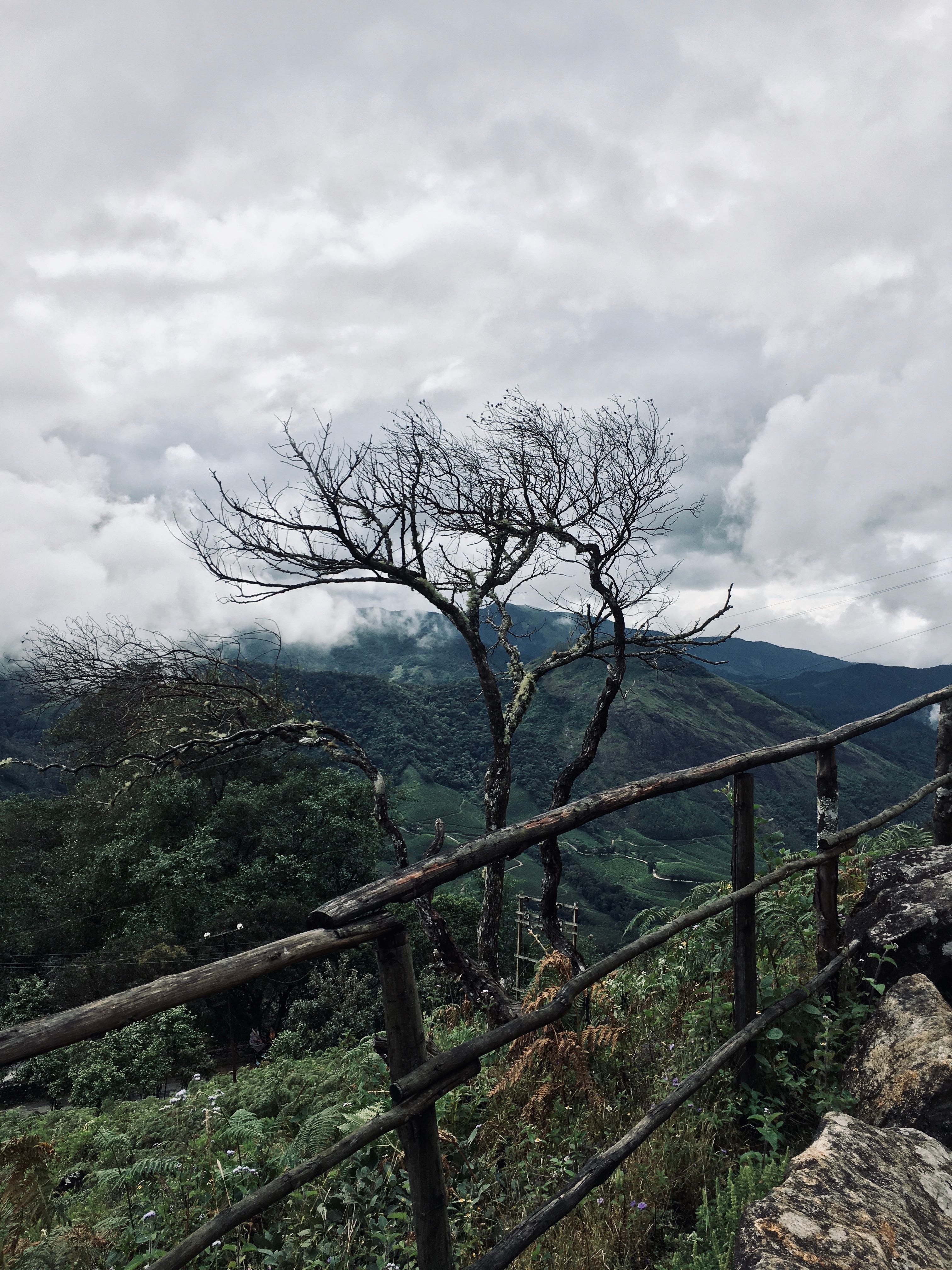 Picture Quality that​ Dazzles with Vibrant Colors and Depth