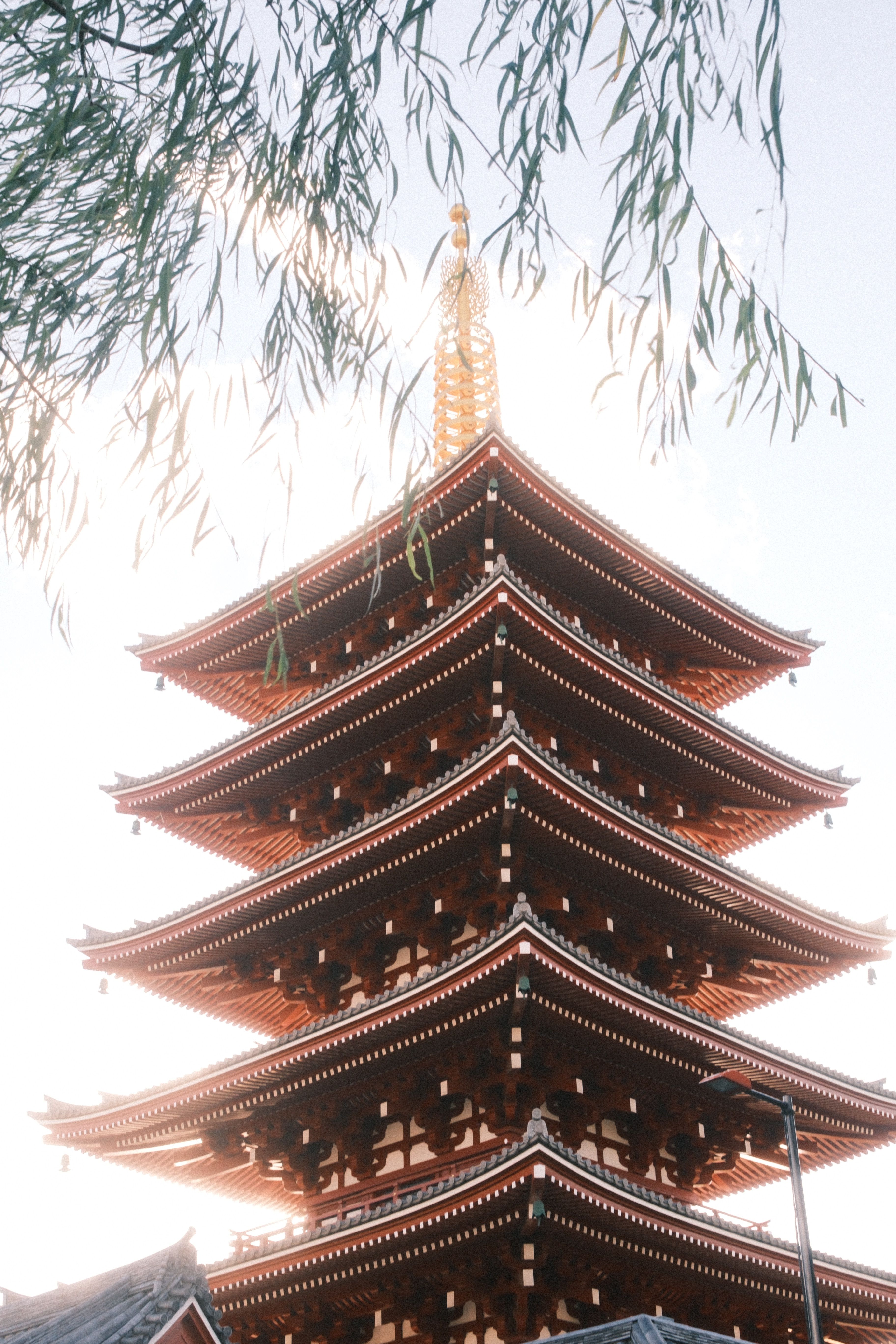 Serene view of a Japanese pagoda against a sunset sky, enhancing cultural charm.